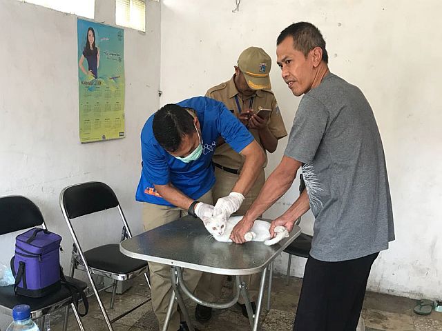 vaksinasi-rabies-di-jaksel-lebihi-target