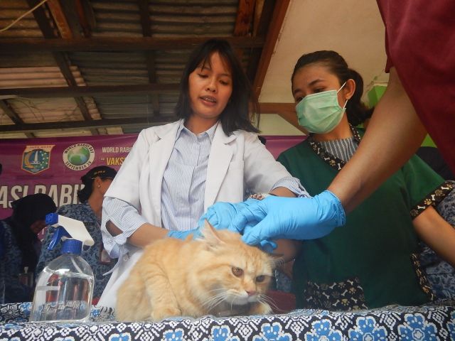 warga-sambut-antusias-vaksinasi-rabies-di-pondok-pinang